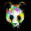 PCM PANDA Avatar