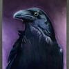 CrowsHaven Avatar